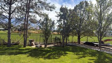 A grassy outdoor area with trees, a metal fence, and a paved path.