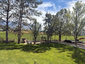 A grassy outdoor area with trees, a metal fence, and a paved path.