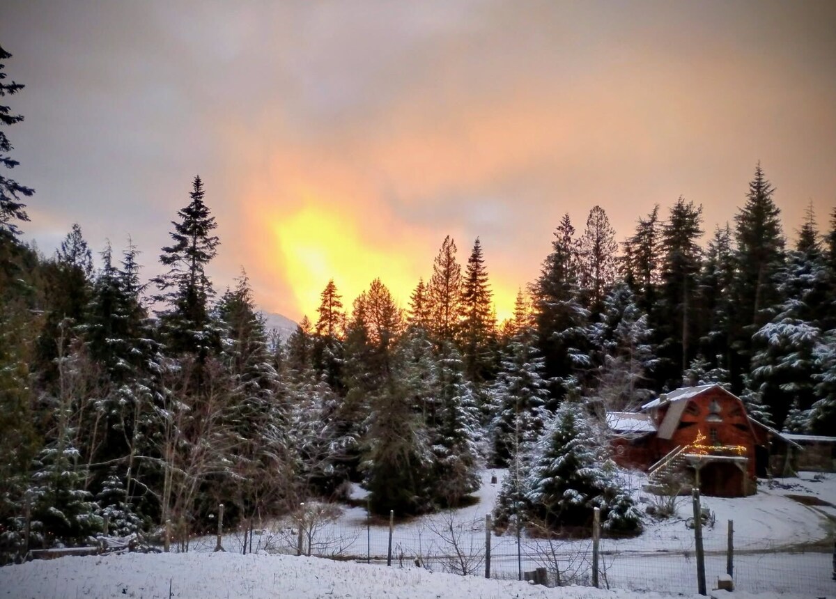 Image de profil de l’hôte