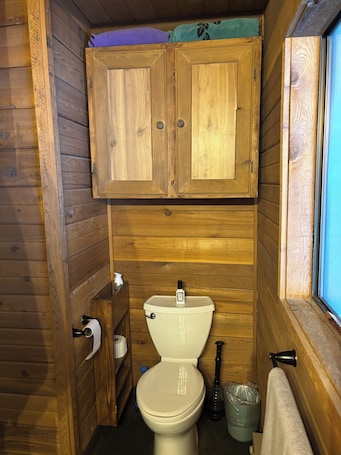 Hair dryer, towels, soap, shampoo. Cozy Cabin in the Woods, Anatone, WA