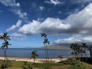 Una playa con palmeras, cielo despejado y una montaña a lo lejos.