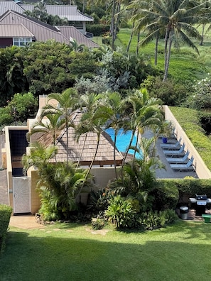 A pool area surrounded by palm trees and a building with a sloped roof. - Oceanfront Artist's Condo Panoramic Maui Sunsets (Kihei)