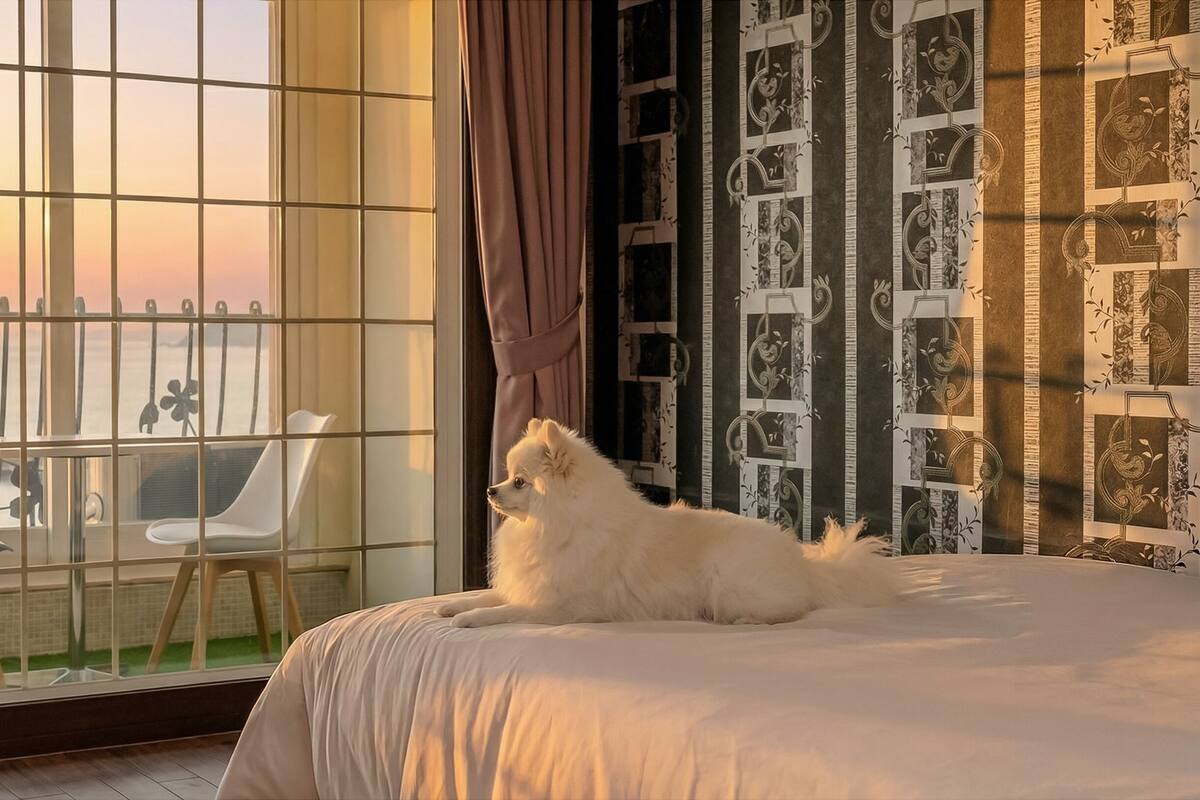 Habitació bàsica, 1 dormitori (603(Sea View/Bed/Pet Charged apply)) | 1 dormitori i wifi gratuïta 