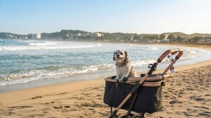 Exterior - Beautiful Sea Pet-frie Pension, Yangyang (Yangyang)