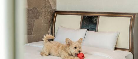 Basic Room, 1 Bedroom (602(Sea View/Bed)) | 1 bedroom, free WiFi