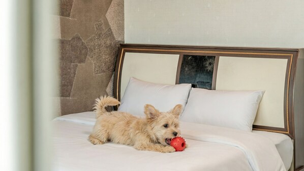 Basic Room, 1 Bedroom (602(Sea View/Bed)) | 1 bedroom, free WiFi - Beautiful Sea Pet-frie Pension, Yangyang (Yangyang)