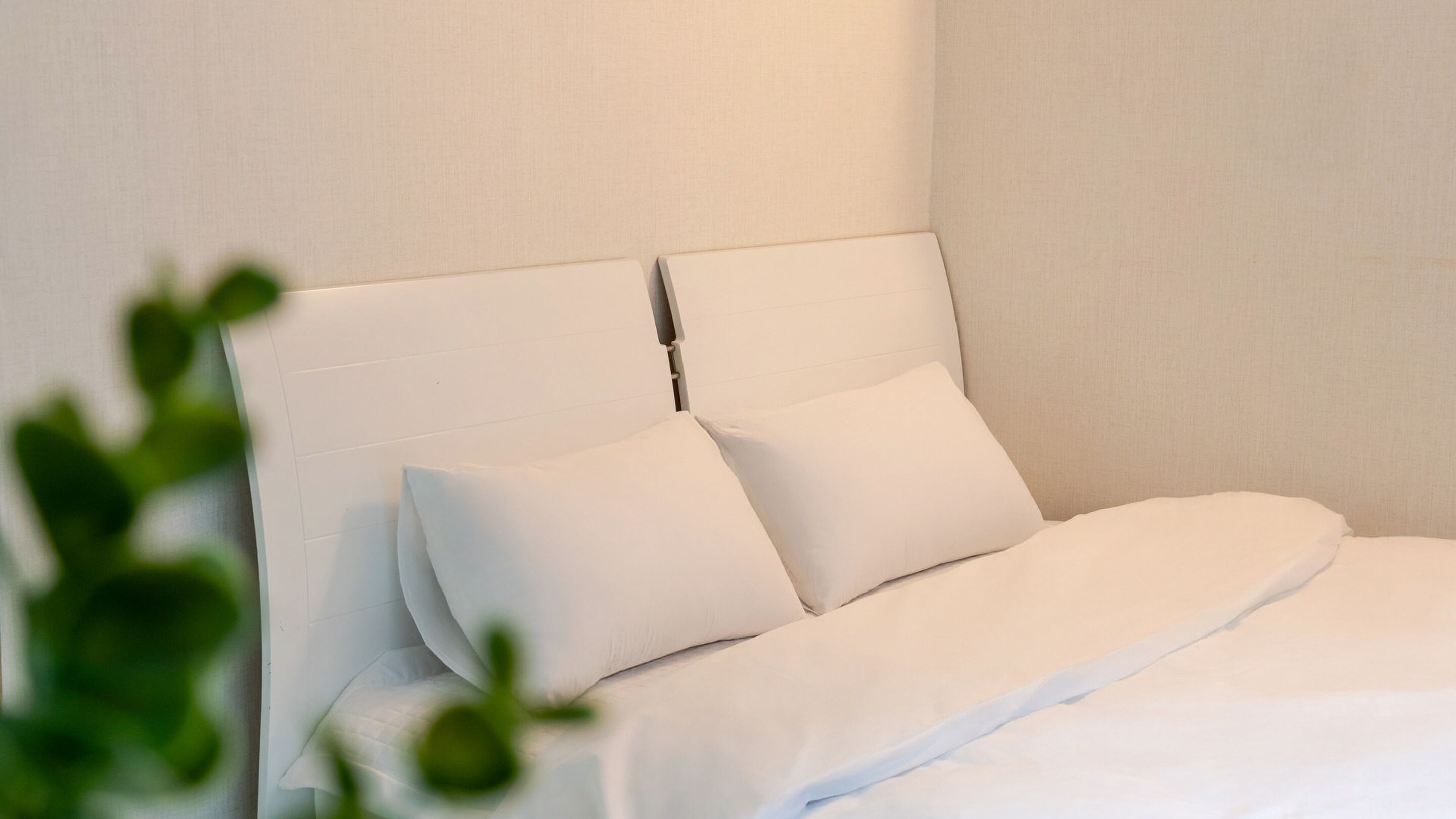 Basic Room, 1 Bedroom (605(Bed))