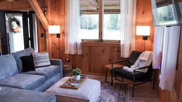 Télévision, cheminée, livres