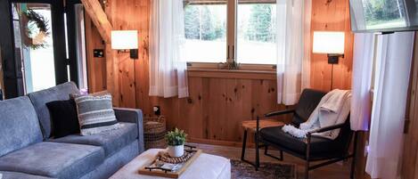 Télévision, cheminée, livres