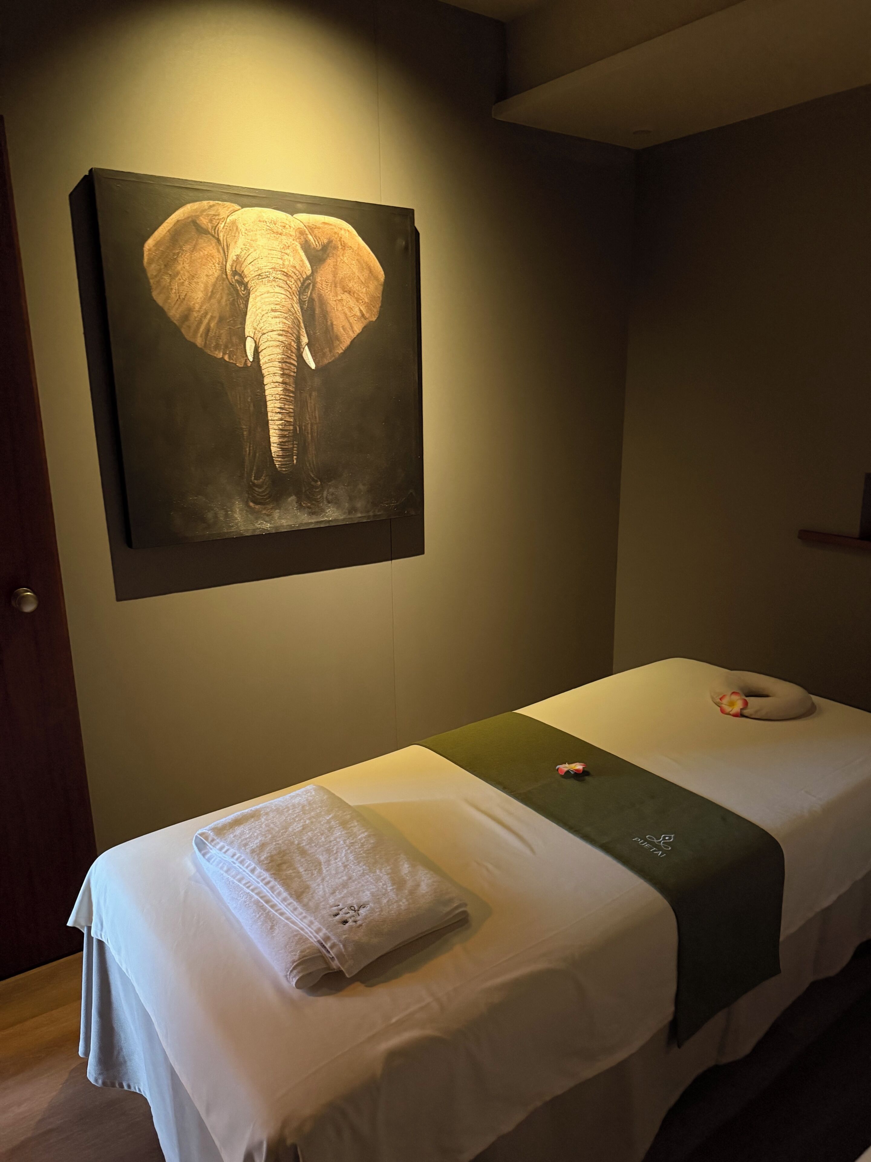 Spa treatment