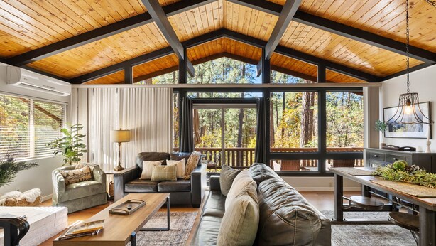 A spacious living area with a high wooden ceiling, large windows offering a view of trees, a sofa, a coffee table, and a dining area with a table and chairs.
