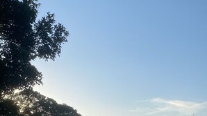 Una marina con imbarcazioni ormeggiate, una passerella in legno e una collina con alberi sullo sfondo.