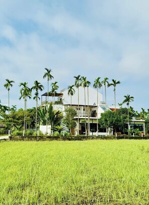 Exterior - Lúa de Rosy Hoi An - a charming & elegant Villa, next to the rice fields. (Thành phố Hội An)