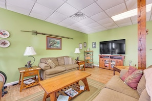 TV, DVD player, ping pong, books - 100-Acre Family Getaway in Kenbridge: Pets Welcome (Kenbridge)