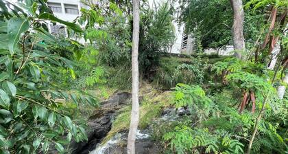 Urban Oasis in heart of lively city - large yard surrounded by trees and stream