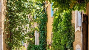 A narrow street with buildings covered in greenery, a cobblestone path, and potted plants. - The Pool House - Organic Charm & Pool (Goult)