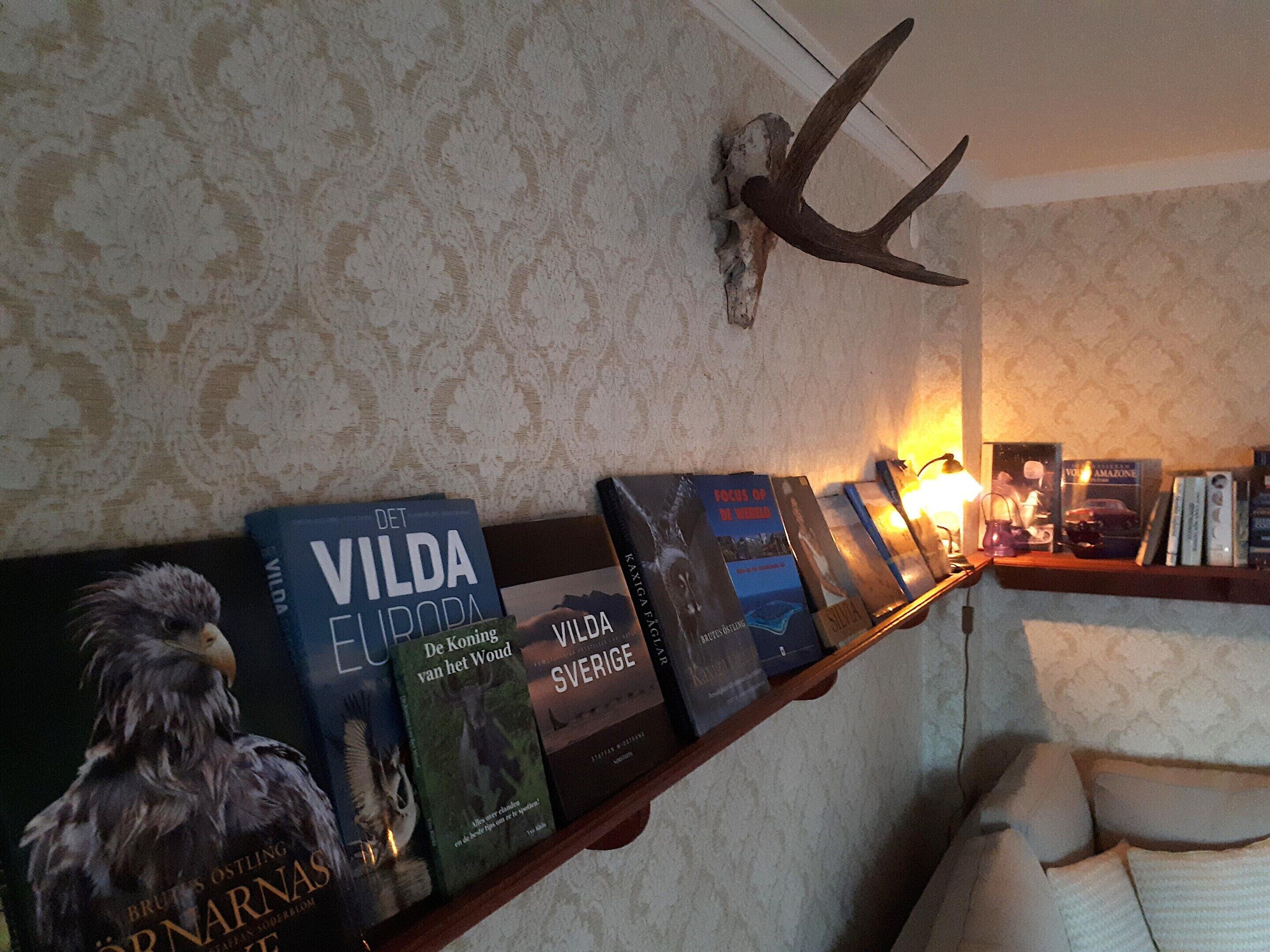 House | Interior detail