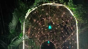 A pathway with a tunnel-like structure adorned with string lights, surrounded by lush greenery. - River Retreat Kolad (Kolad)