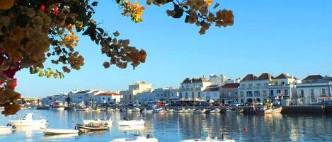 Un port de plaisance situé au bord de l’eau, avec plusieurs bateaux amarrés, un ciel bleu dégagé et des bâtiments en arrière-plan.