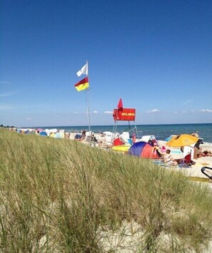 Beach - Strandgut Wackerballig (Gelting)