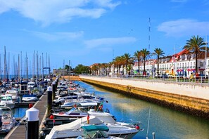 Un port esportiu amb nombroses embarcacions amarrades al llarg d'una passeig marítim flanquejat per palmeres i edificis.