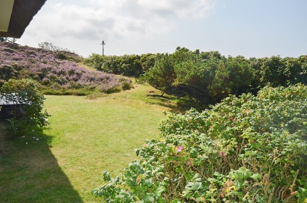 A grassy outdoor area with dense shrubbery and a hill with purple flowers. - Petit Dünenhof, Germany (Kampen (Sylt))