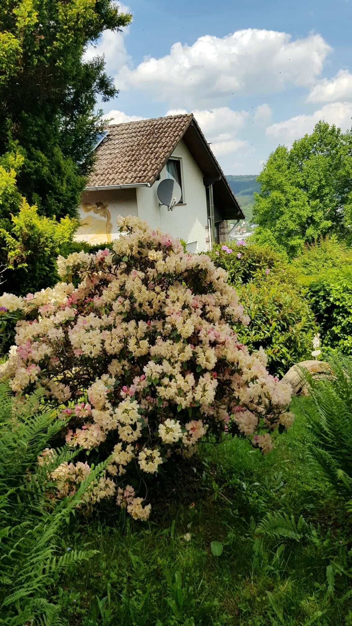 Außendetails
