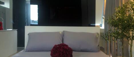 Standard-studio | Ilmainen Wi-Fi