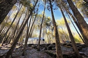 Miscellaneous - Dragonwood Airstream (Parkman)