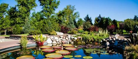 Parco della struttura