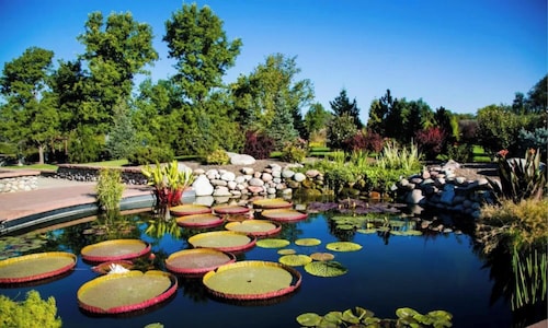 Golden View Townhouse - Walk to Downtown!