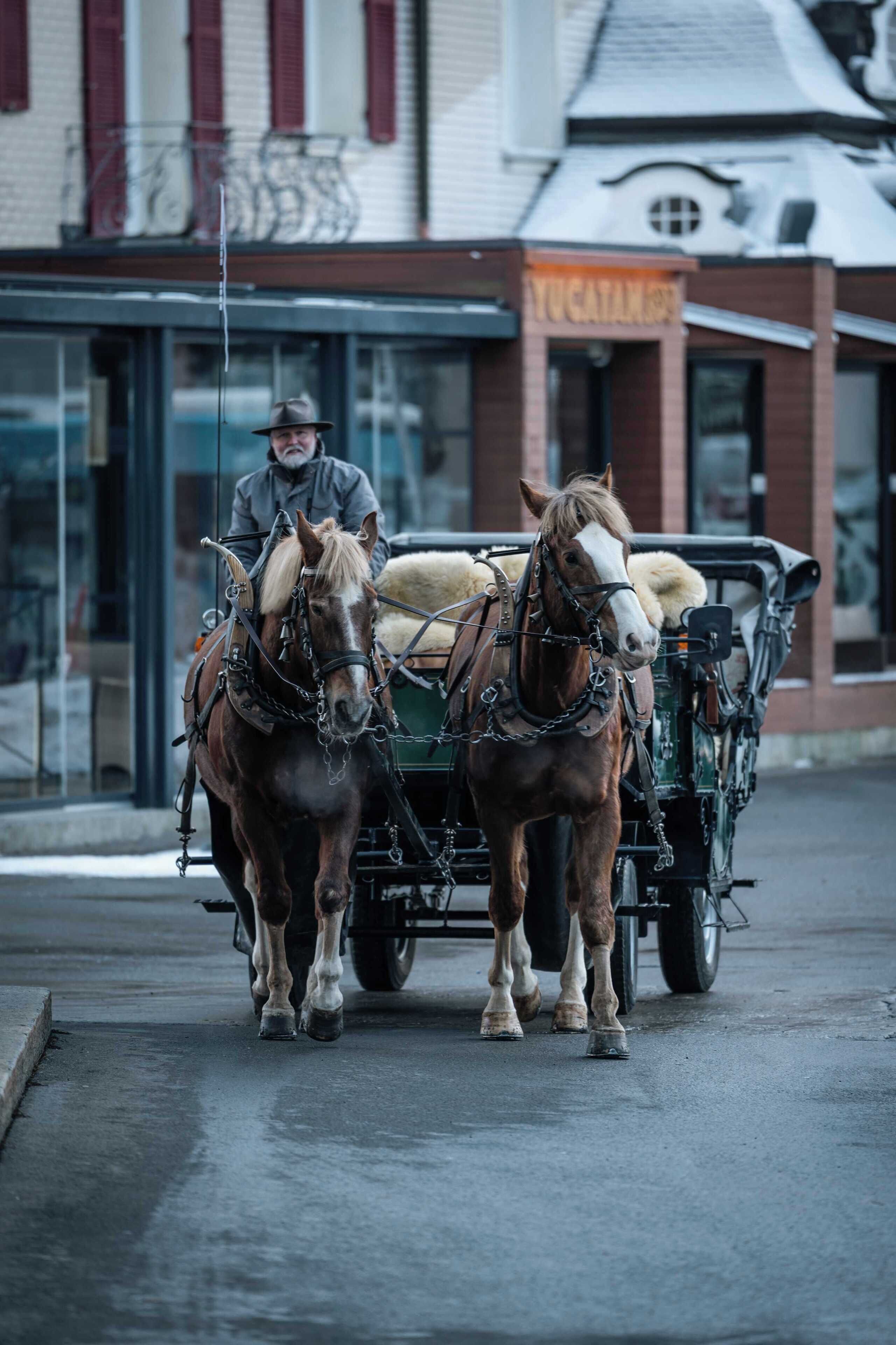 A horse-drawn carriage with two horses and a driver, passing by a building with a sign that reads "YUGATAN".