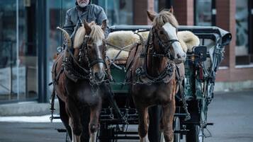 A horse-drawn carriage with two horses and a driver, passing by a building with a sign that reads "YUGATAN".