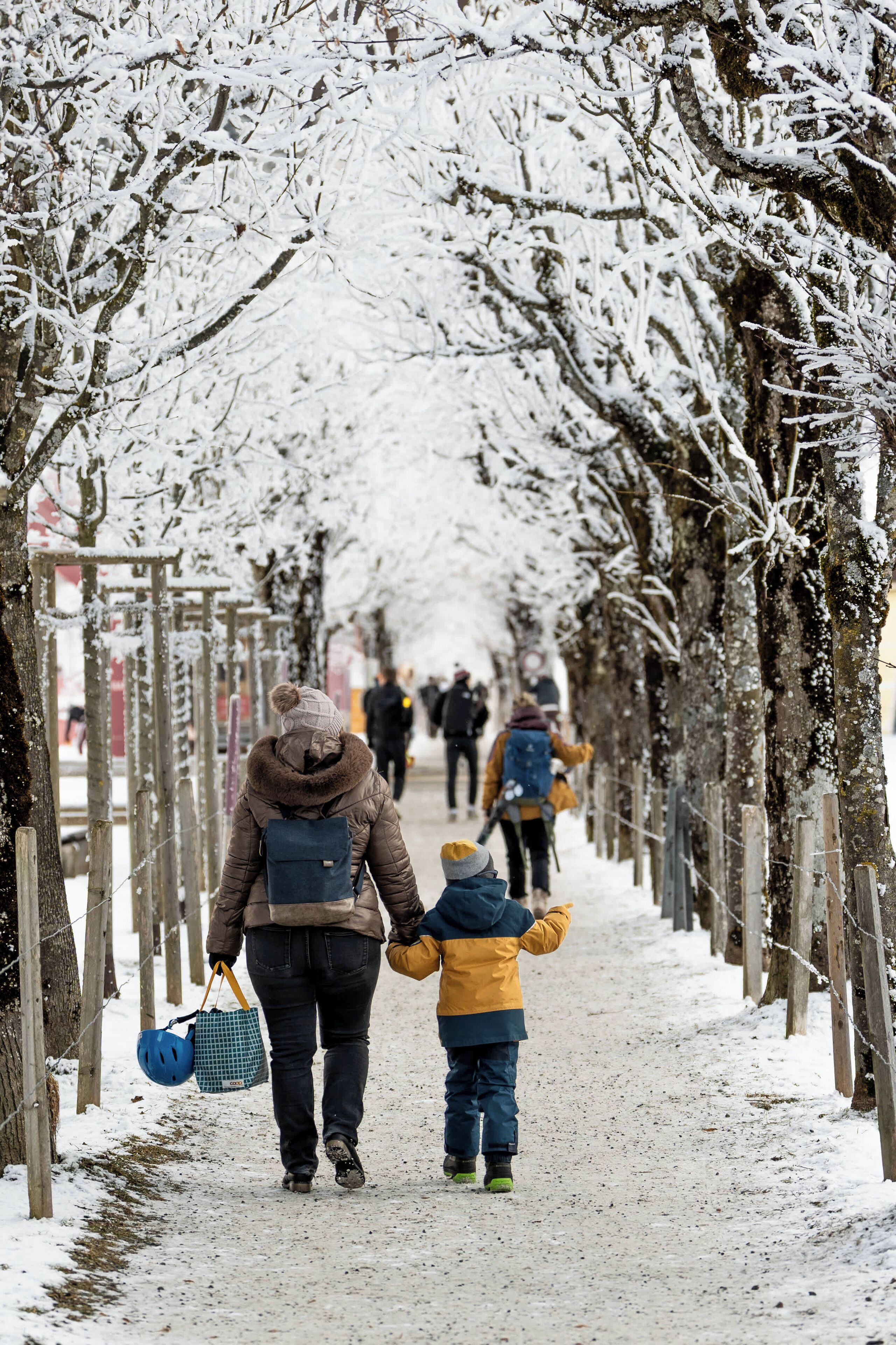 A snow-covered pathway lined with trees and wooden posts, suggesting a winter setting.