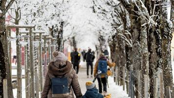 A snow-covered pathway lined with trees and wooden posts, suggesting a winter setting.