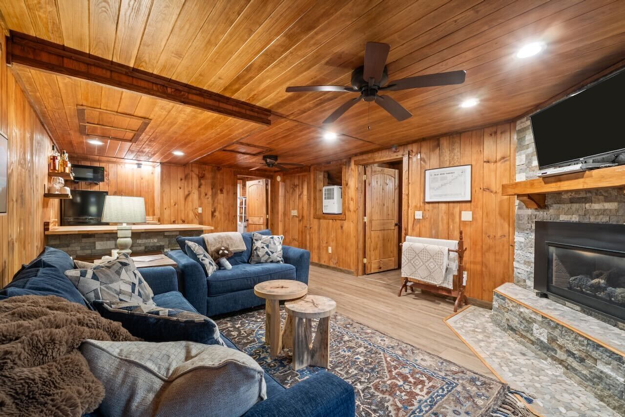 Smart TV, fireplace, DVD player, books