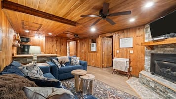 Smart TV, fireplace, DVD player, books