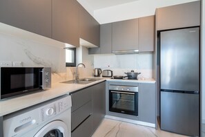 Leilighet, 1 dobbeltseng med sovesofa, kjøkken, byutsikt | Eget kjøkken | Kjøleskap, mikrobølgeovn, ovn og kokeplater