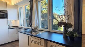 Mikrowelle, Ofen, Herdplatte, Geschirrspüler