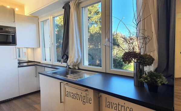 Mikrowelle, Ofen, Herdplatte, Geschirrspüler