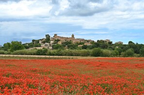 Miscellaneous - MAR PINS-0-dormitorios (Pals)