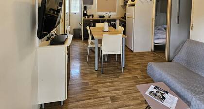Chalet CAMPING Kabana Village Saint Hilaire de Riez, Animaux acceptés..