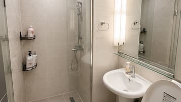 Shower, hair dryer, bidet, towels