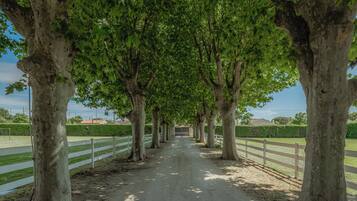 Terrein van de accommodatie