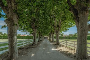 Jardines del alojamiento