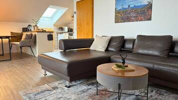 Fernseher, Arbeitsbereiche