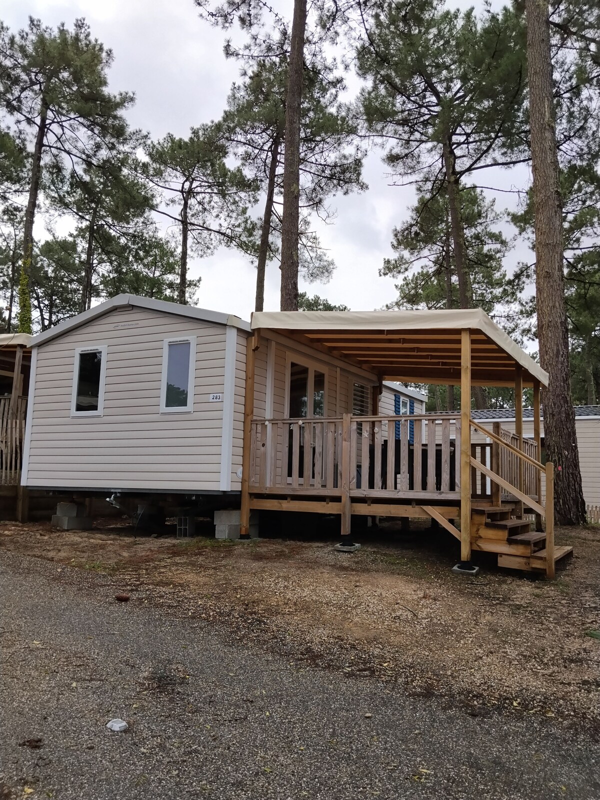 Imagen de perfil del propietario o de la propietaria