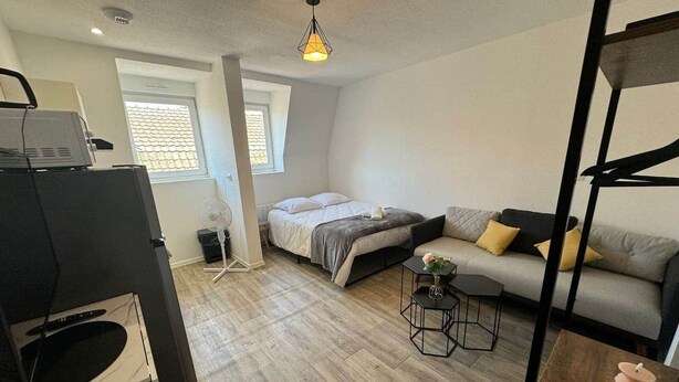 A compact room with a bed, a sofa, a small table, and a projector setup. - Les roses" studio: cosy and comfortable (Mulhouse)