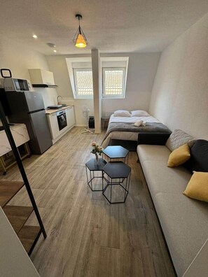 TV - Les roses" studio: cosy and comfortable (Mulhouse)