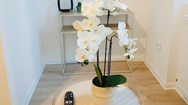 Un salon avec un téléviseur à écran plat fixé au mur, une petite table d’appoint blanche sur laquelle est posée une orchidée en pot, une télécommande et un canapé blanc.